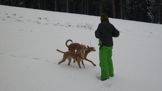 Stubai 2010 126.jpg