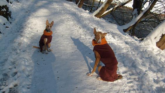 Stubai 2010 147.jpg