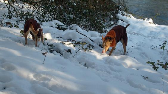 Stubai 2010 152.jpg