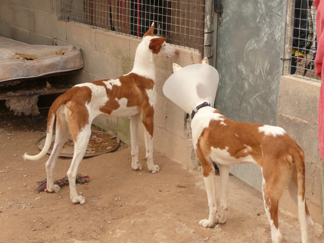 P1000914.jpg