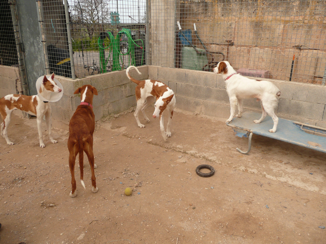 P1000913.jpg