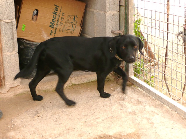 P1000917.jpg