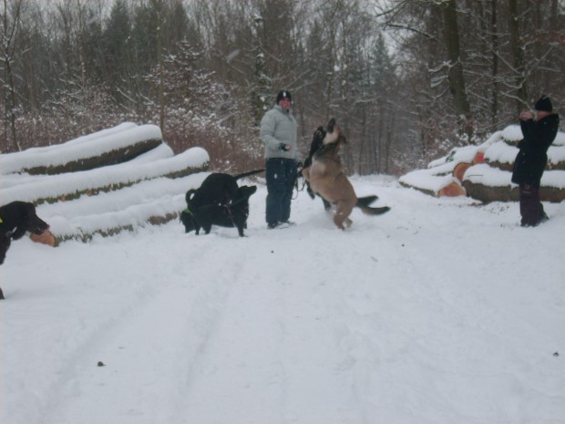 Theo im Schnee3.jpg