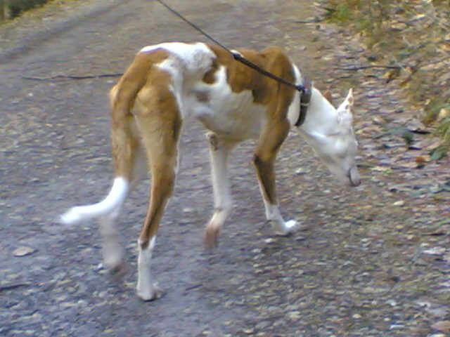 22022010(008)_600x600_100KB.jpg