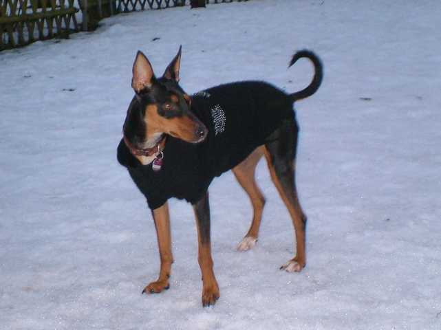 K640_Lilly.JPG