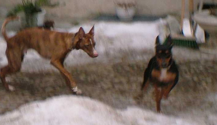 K640_flying lilly.JPG