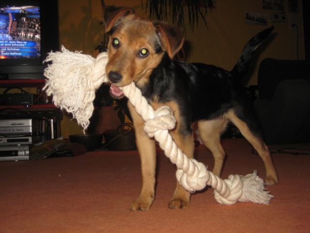 K640_Bild 513.JPG