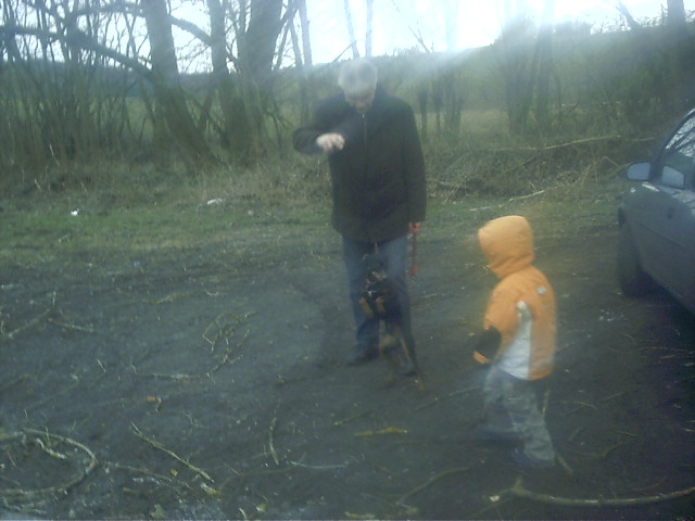 008.JPG