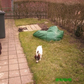 auf malle riecht das gras aber anders.jpg