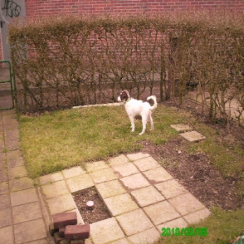 wer da ...jpg