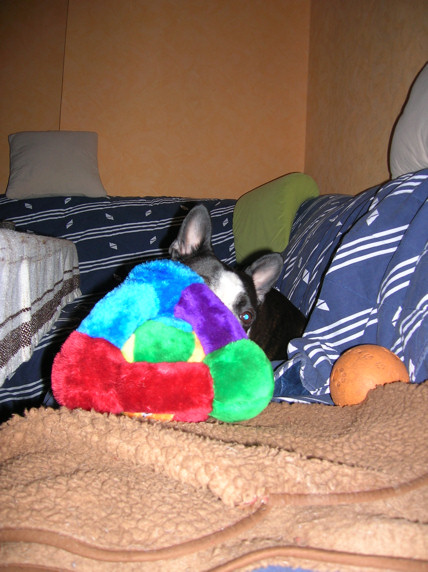 quietschisabberpluetschteil02.jpg