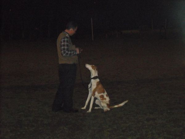Hundeplatz.jpg