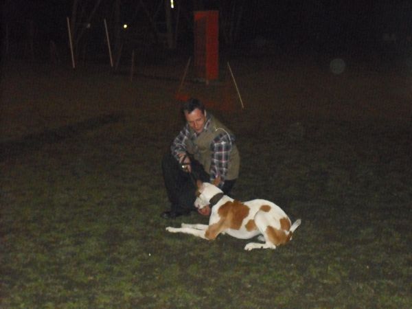 Hundeplatz4.jpg