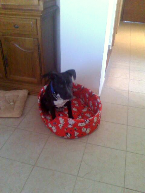 mimis_hadybilder0780.jpg