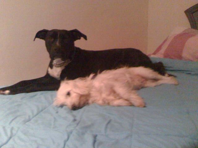 Picture 010.jpg