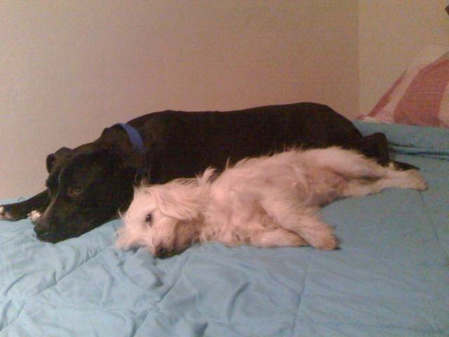 Picture 011.jpg