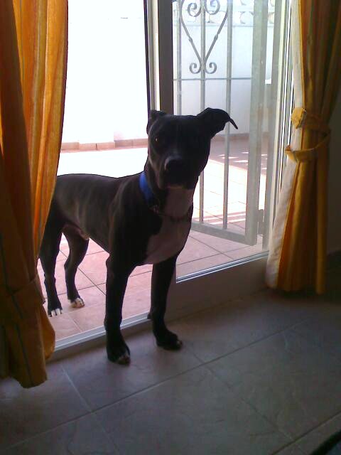 mimis_hadybilder0809.jpg