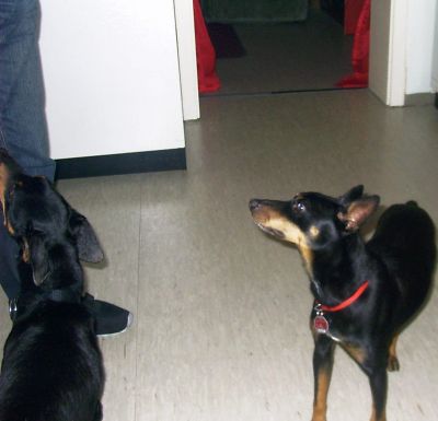 004_400_385.jpg