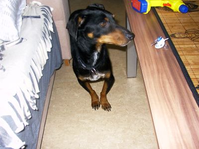 002_400_300.jpg