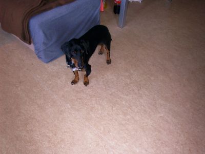004_400_300.jpg