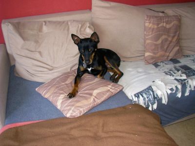 005_400_300.jpg