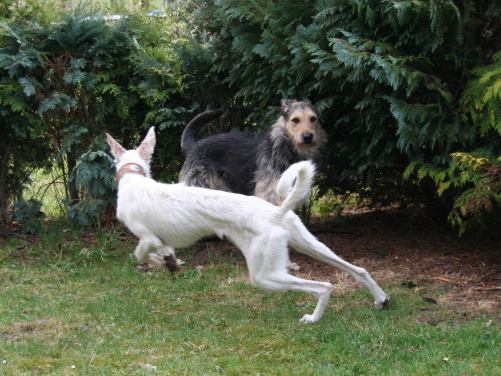Shanti und Shane