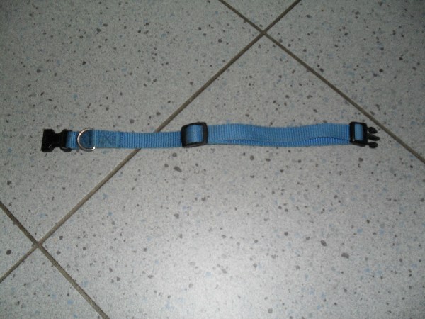 SDC10388_600x600_100KB.jpg