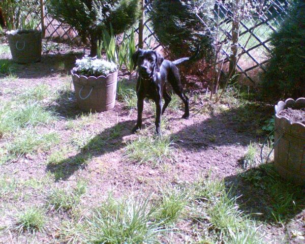 13 April003.jpg