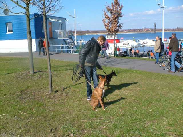 K640_DSCF0085.JPG