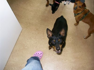 007_400_300.jpg