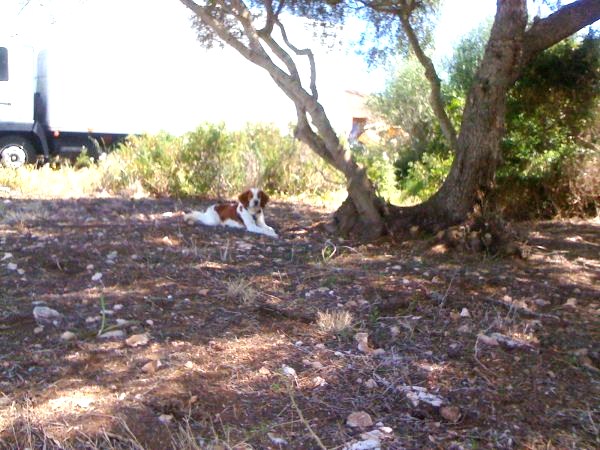 25April075.jpg