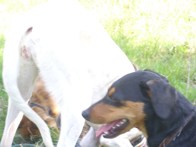 DSCI0041_640x480.JPG