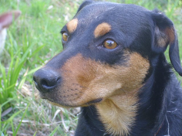 DSCI0053_640x480.JPG