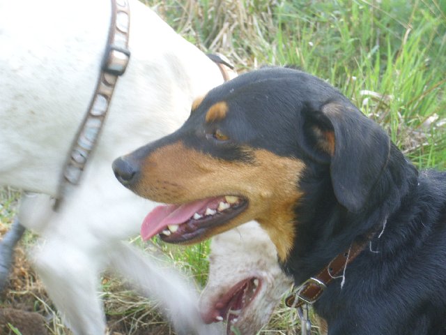 DSCI0054_640x480.JPG