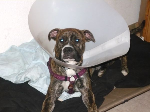 2010April003.jpg