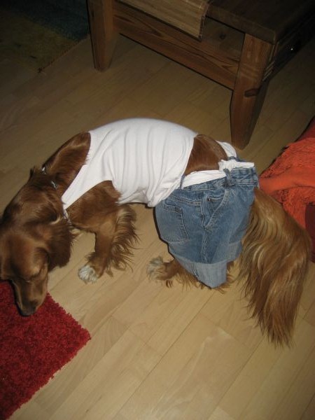 2010April001.jpg
