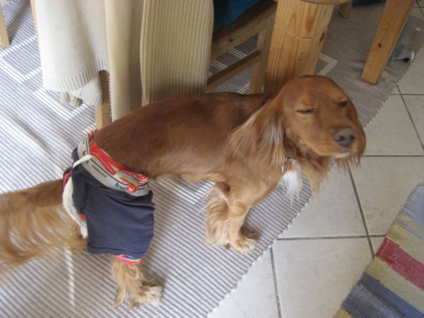 2010April002.jpg