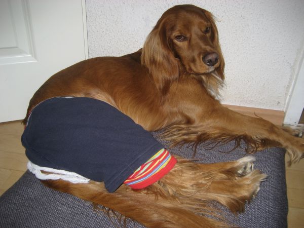 2010April003.jpg