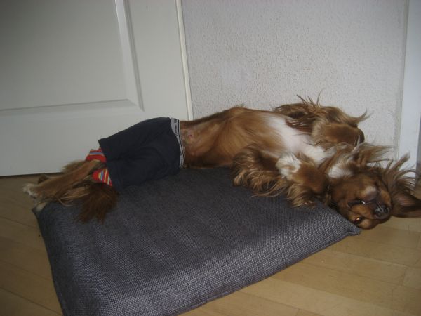 2010April004.jpg