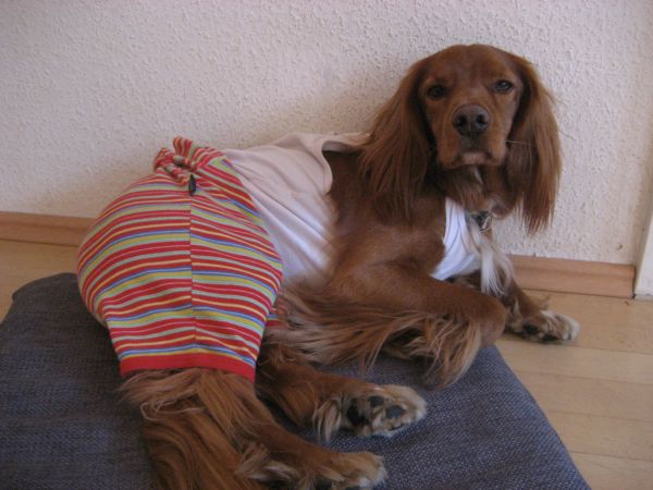 2010April007.jpg
