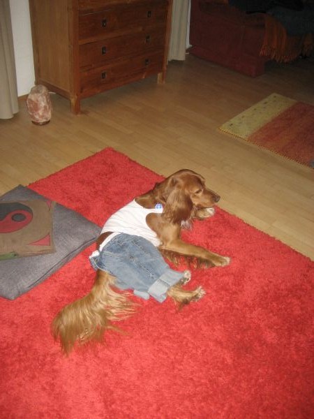 2010April009.jpg
