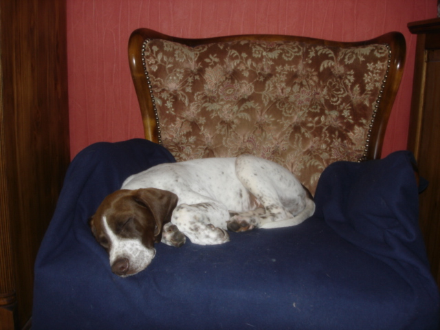DSC03736.JPG