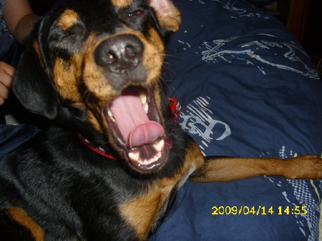 DSCI0091_640x480.JPG