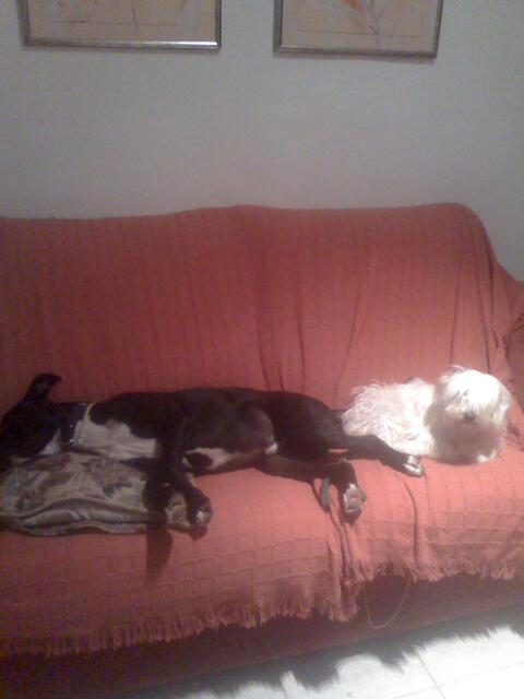 mimis_hadybilder1219.jpg