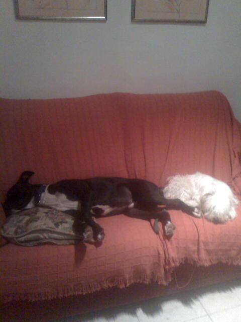 mimis_hadybilder1220.jpg