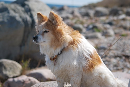 DSC_0084.jpg