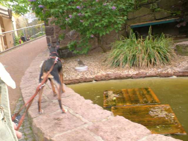 K640_DSCF0119.JPG