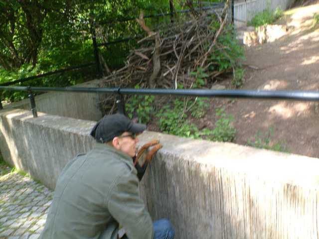 K640_DSCF0125.JPG