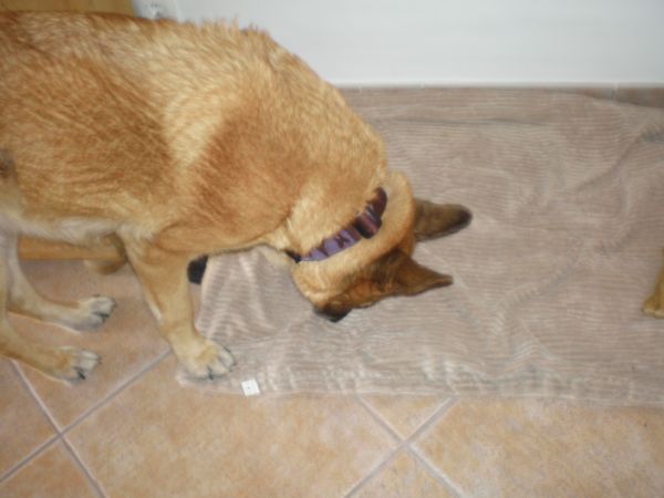 Senda 7.JPG