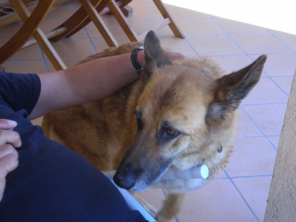 Senda 2010 13.jpg